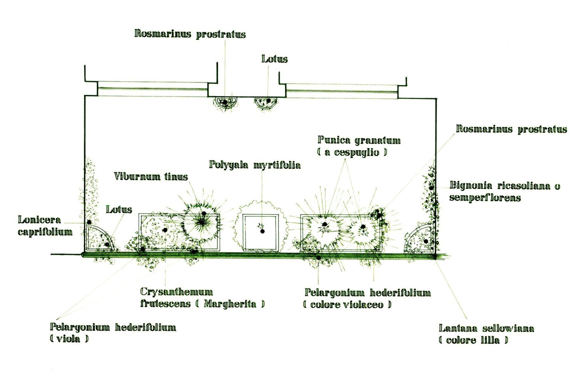 Progettazione di un giardino