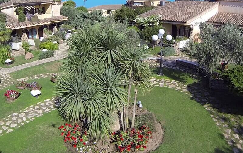 giardino di un resort con palme e sentieri in pietra