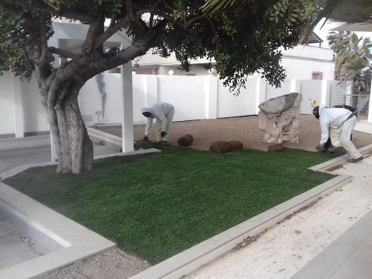 spazio verde con alberi