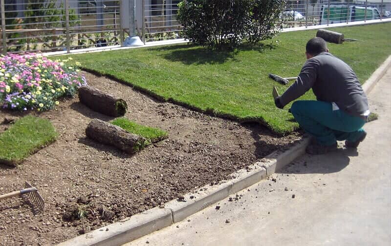 installazione di un prato in rotoli