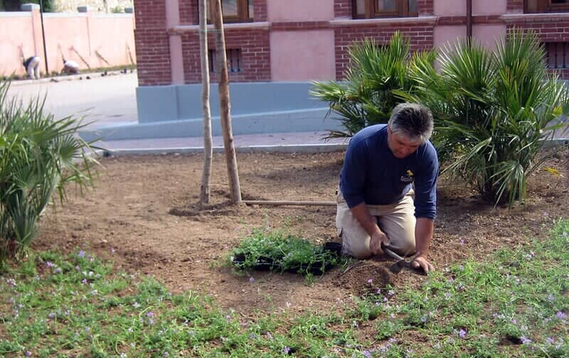 manutenzione di un'area verde