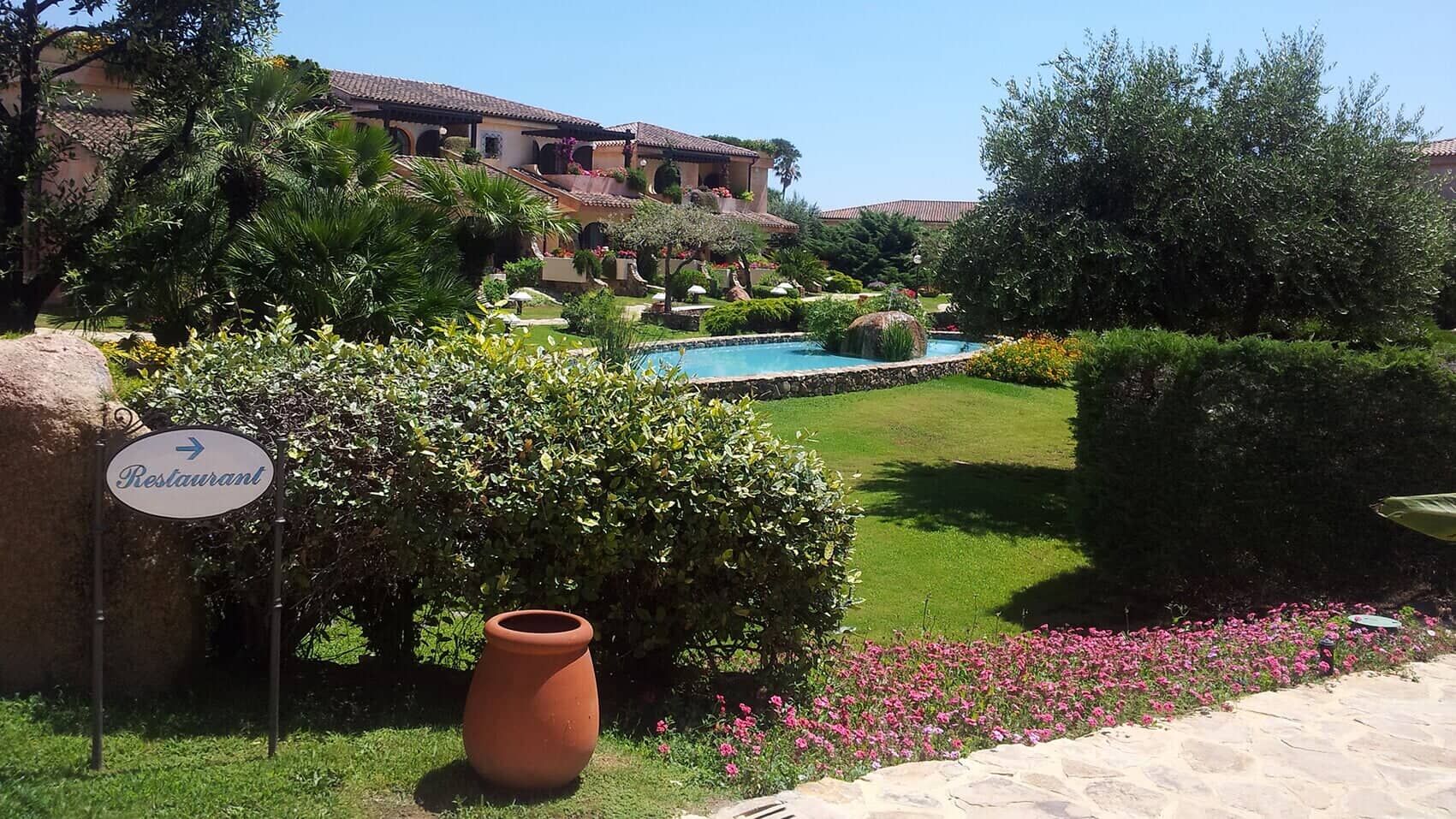 giardino di un resort con piscina, prato inglese e palme
