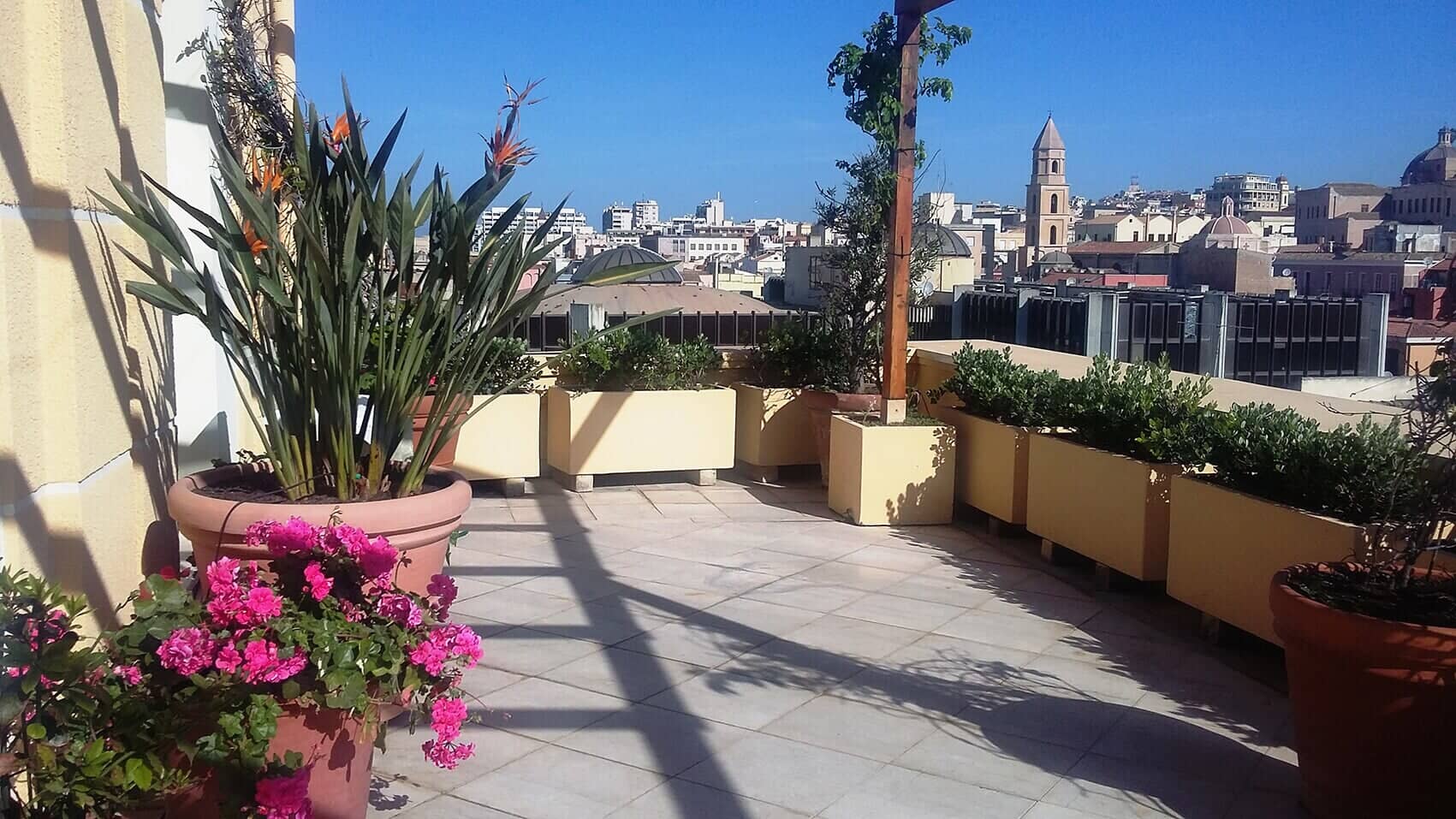 terrazzo con aiuole, fiori e piante rampicanti