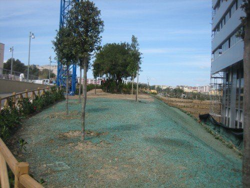 prato in fase si sviluppo dopo l'idrosemina