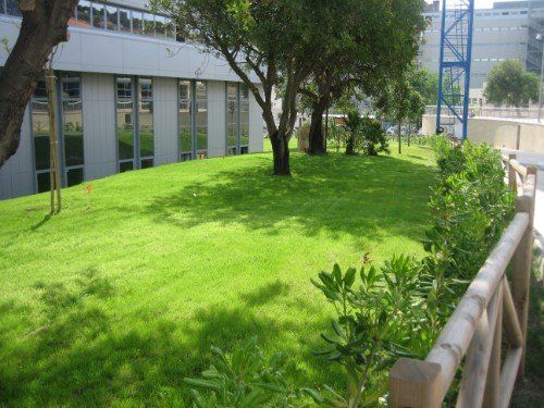 prato trattato e insediato con idrosemina