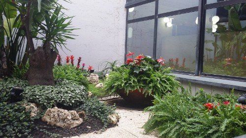 giardino interno con pietre