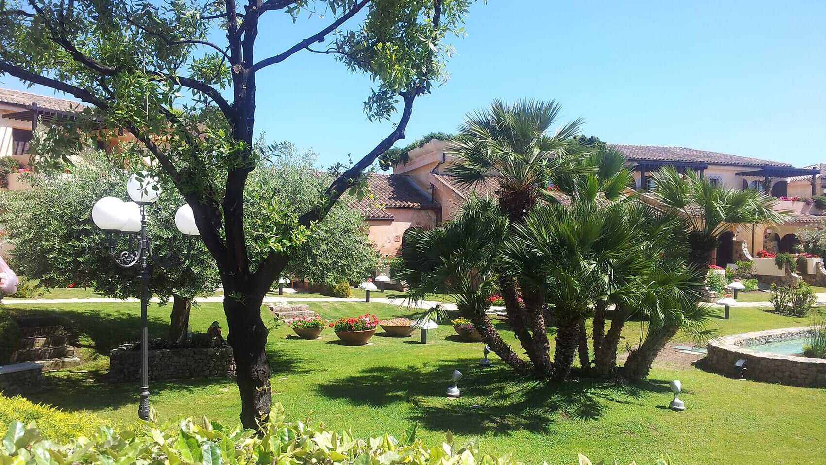 giardino con palme e aiuole con fiori