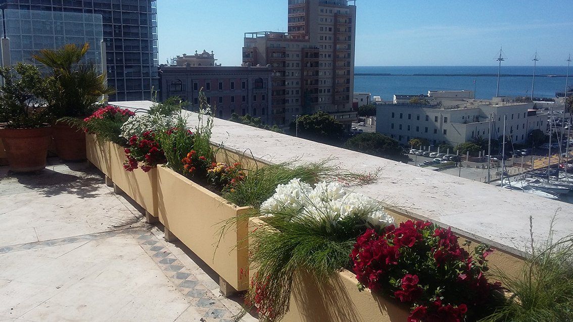 terrazza con piante, fiori bianchi e rossi