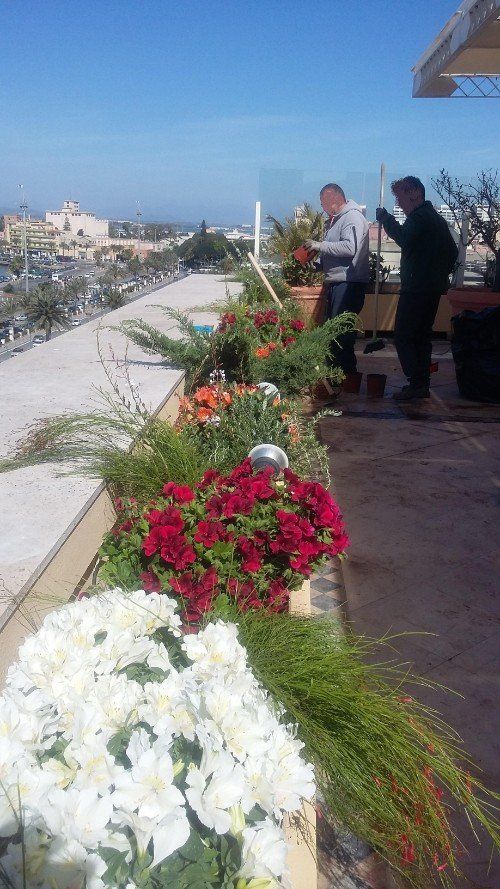 progettazione di spazi verdi in appartamenti