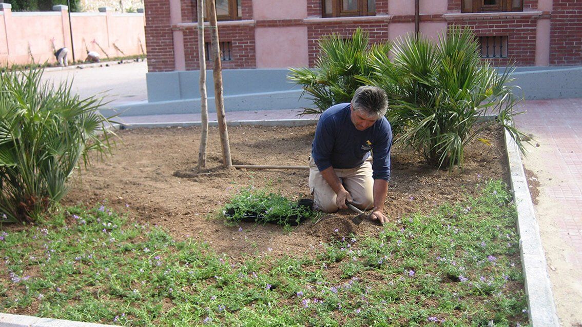 concimazione del terreno