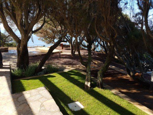 realizzazione di spazi verdi di ville e parchi