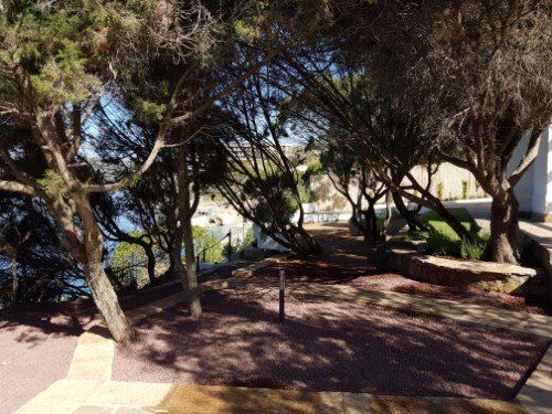 progettazione alborea in villa