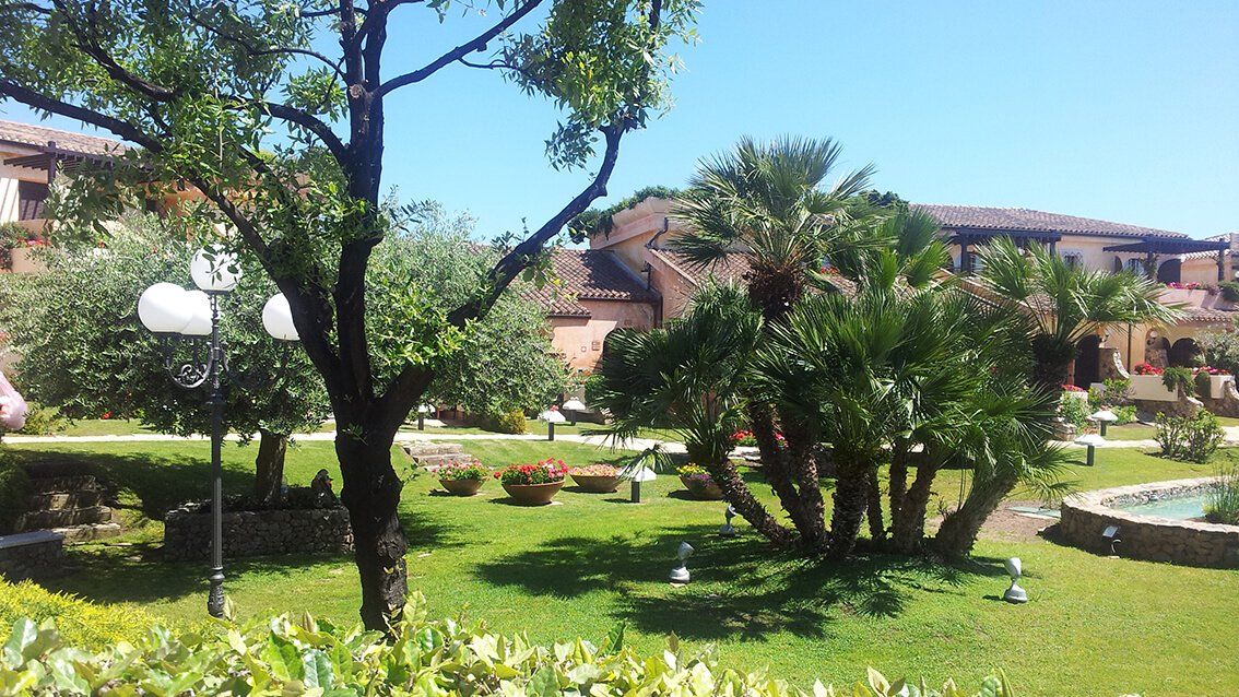 spazio verde con palme e vasi di fiori