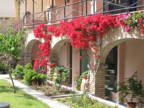 spazio verde in Villetta a Cagliari Centro