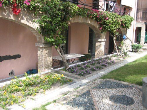 rose rampicanti in Villetta a Cagliari Centro