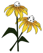 MURRANCA VALENTINA - LOGO