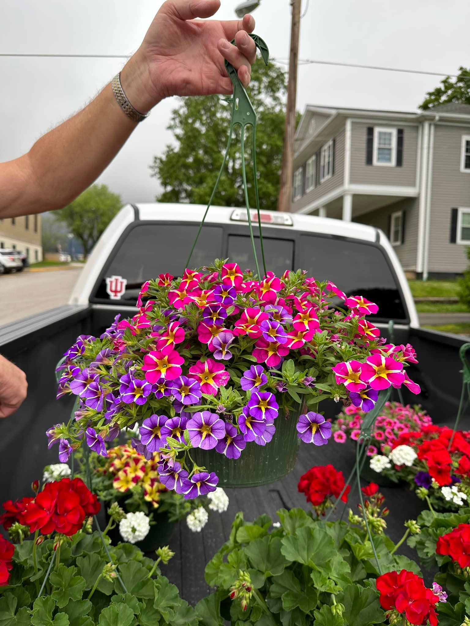 A person is holding a basket of flowers in the back of a truck.