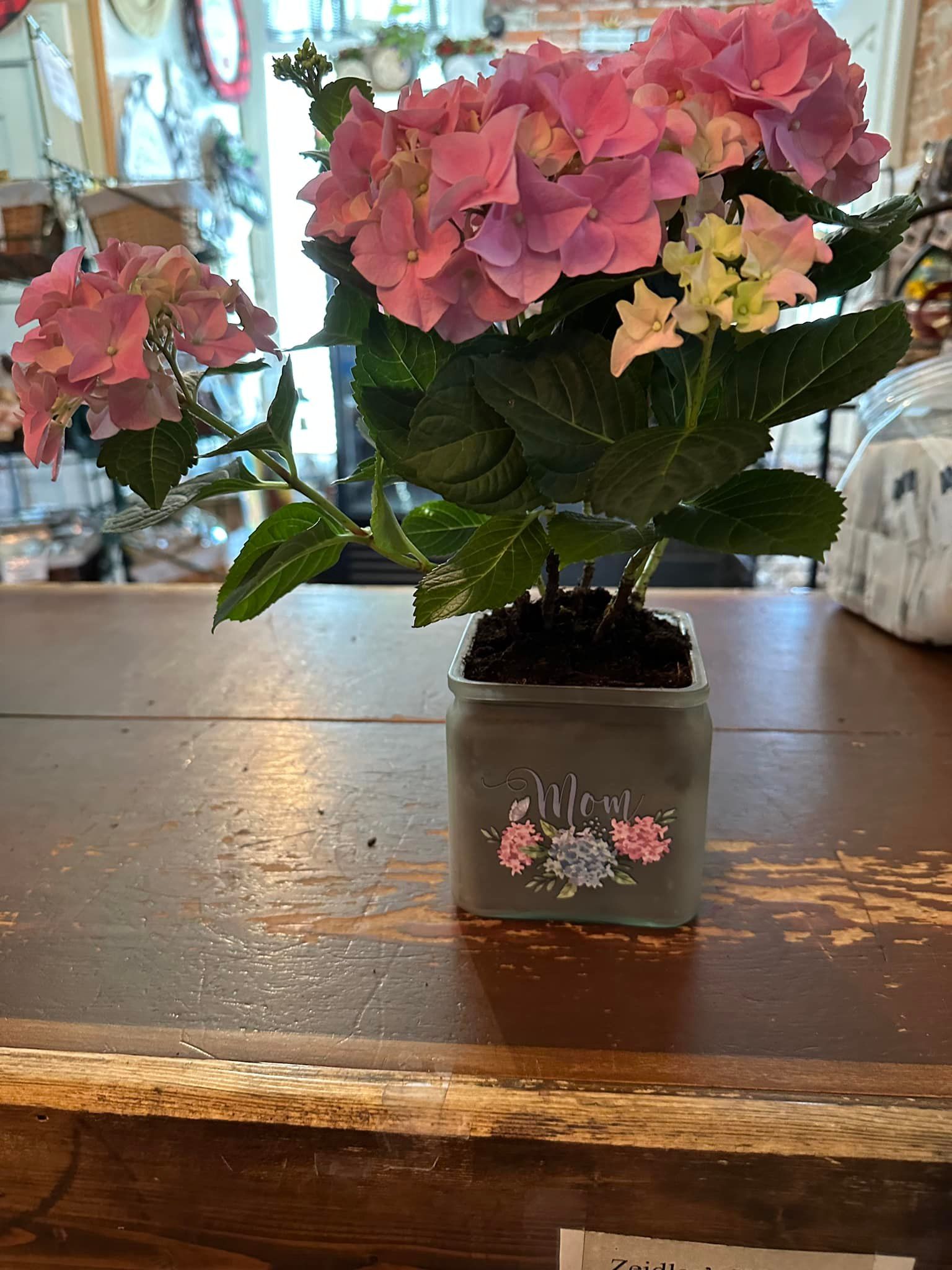A potted plant with pink flowers is sitting on a wooden table.