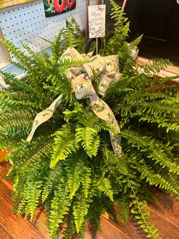 A large green fern with a white bow is sitting on a wooden floor.