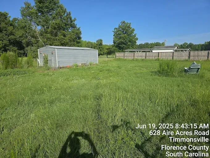 Overgrown lot with shed, Timmonsville, SC. Tall grass, blue sky, fence in the background.