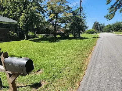 Lush green grass and a mailbox next to a road, with a house and trees in the background.