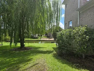 Willow tree and green lawn next to a pond and brick building on a sunny day.