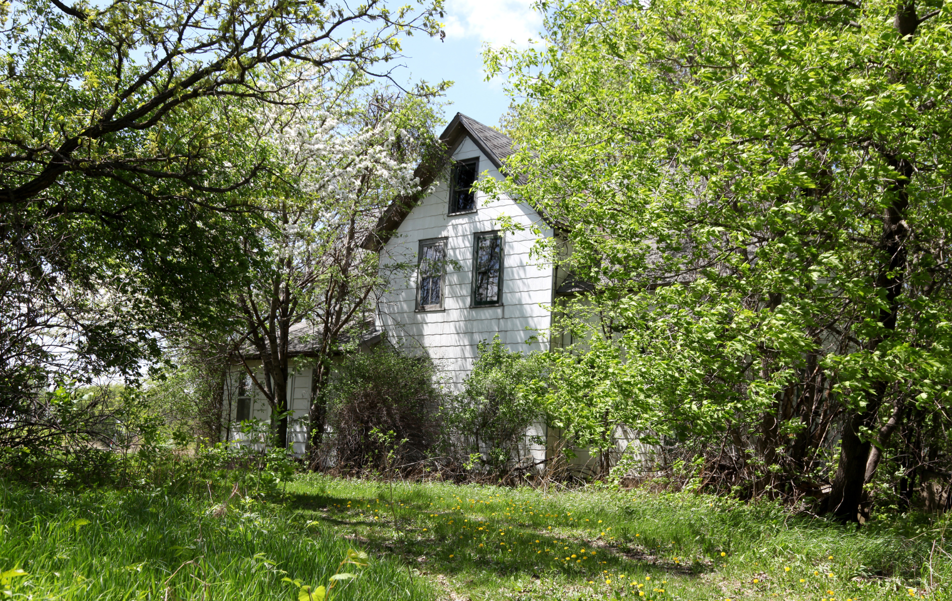White abandoned house, surrounded by green trees and bushes, in a grassy field.