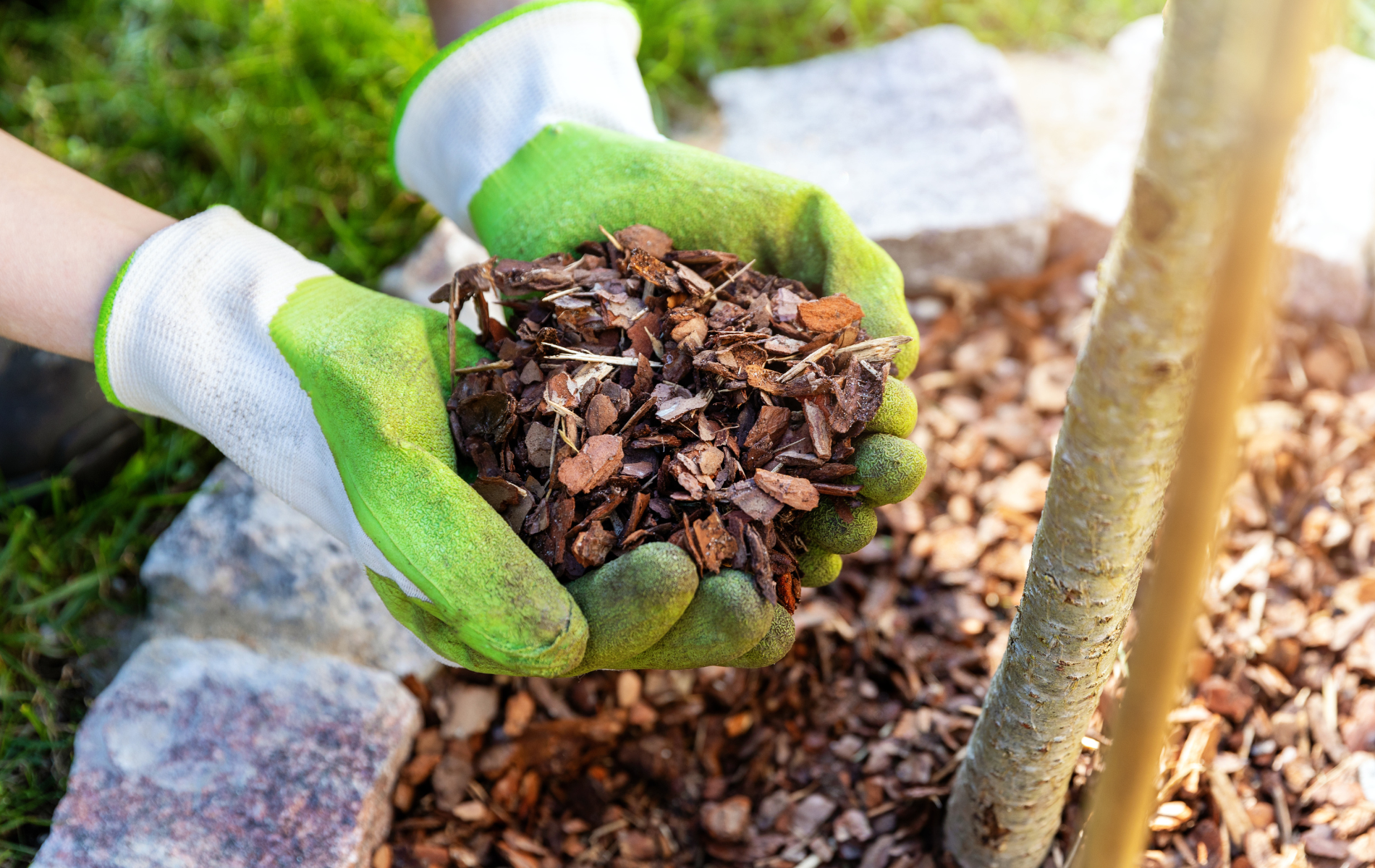 Hands in green and white gloves holding bark mulch near a tree in a garden.