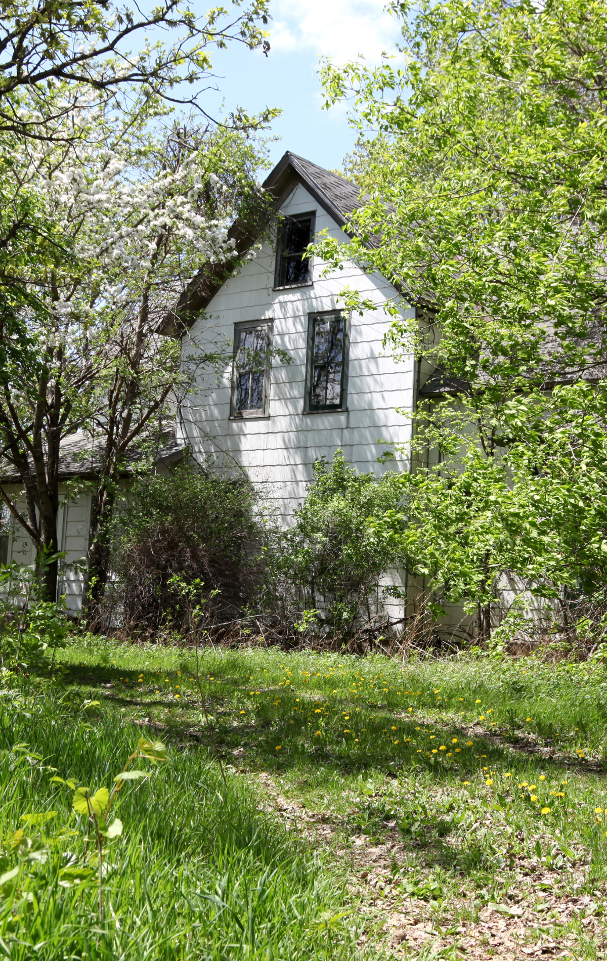 White house partially obscured by trees and greenery on a sunny day.