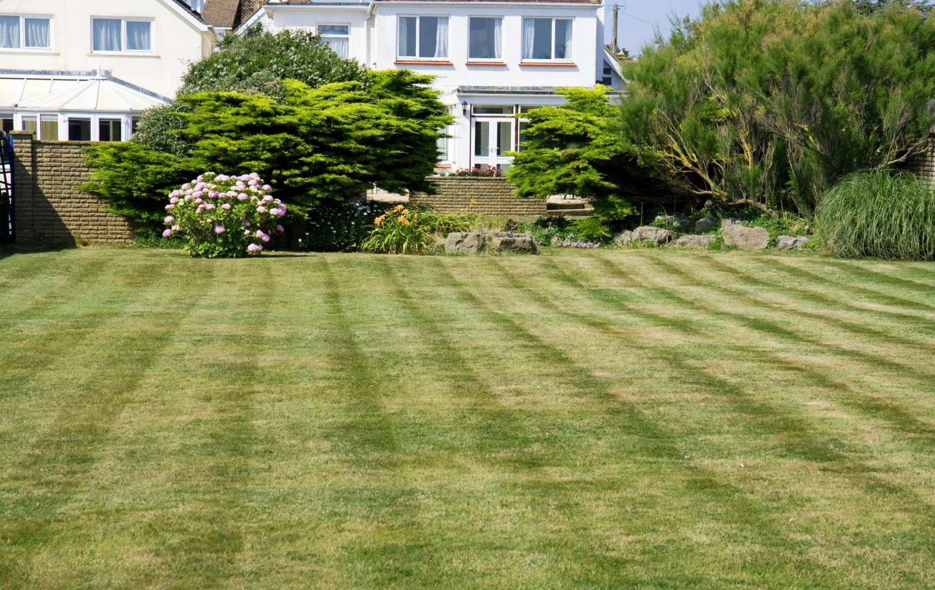 Lawn with striped pattern in front of a white house with green bushes and flowers.
