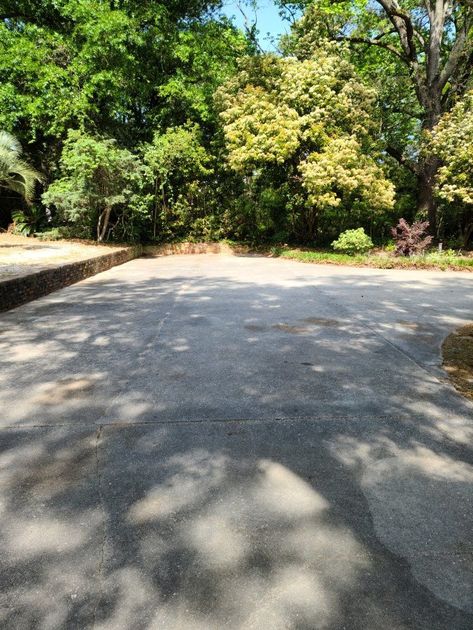 Asphalt driveway with tree shadows. Trees and greenery in the background.