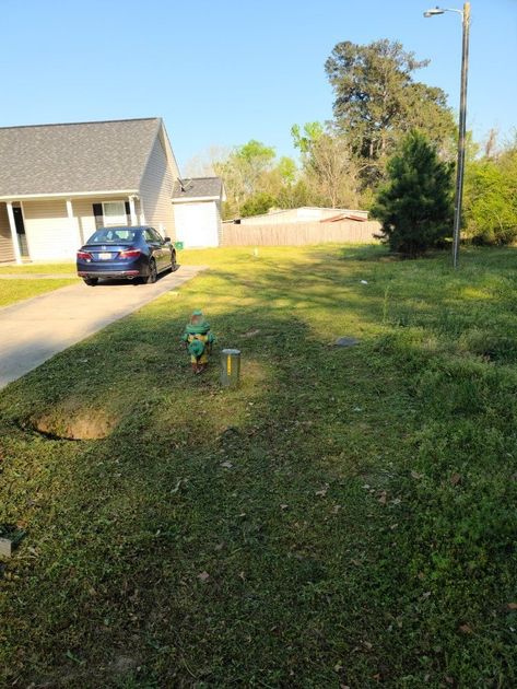 Grassy yard with a fire hydrant. A car is parked in front of a house on a sunny day.