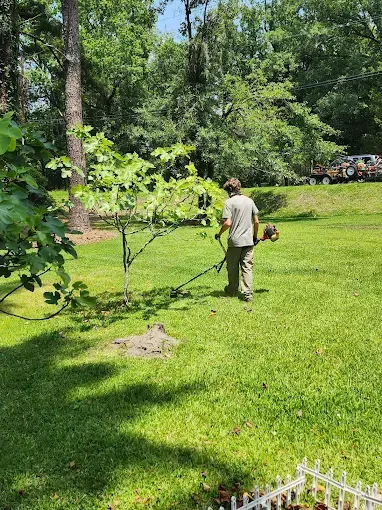 Man mowing grass with weed eater in a sunny yard with trees.