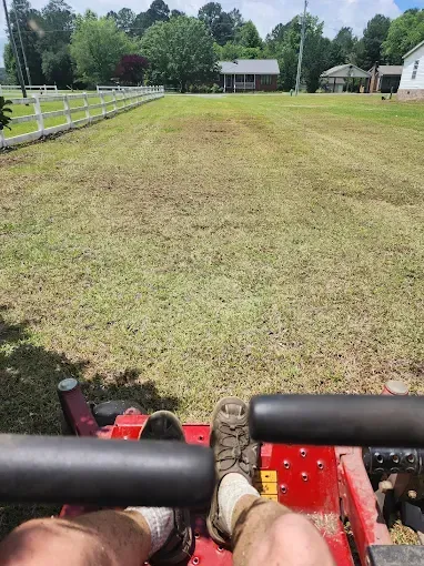 A person on a red zero-turn mower cutting grass in a sunny residential yard.