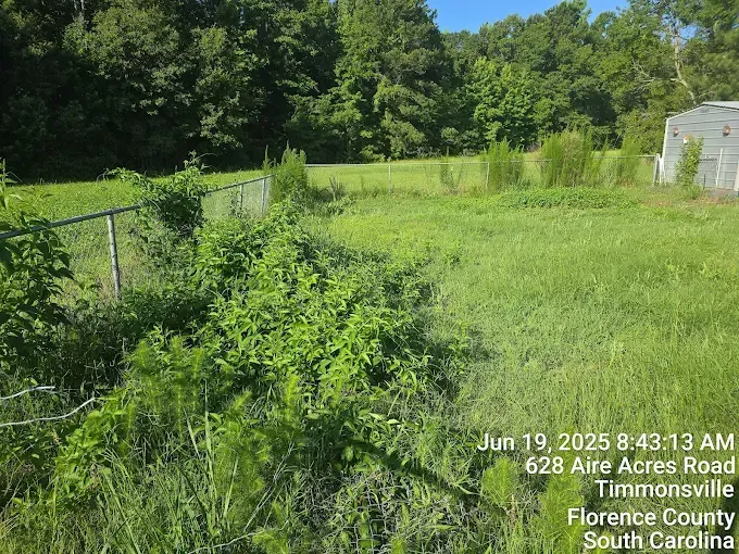 Overgrown field with a chain-link fence and a shed. South Carolina.