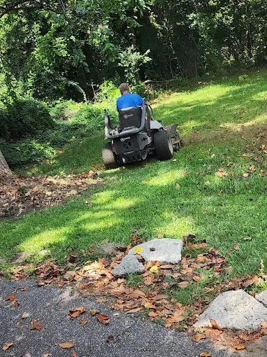 Person mowing grass on a riding mower on a slight hill, surrounded by trees and fallen leaves.