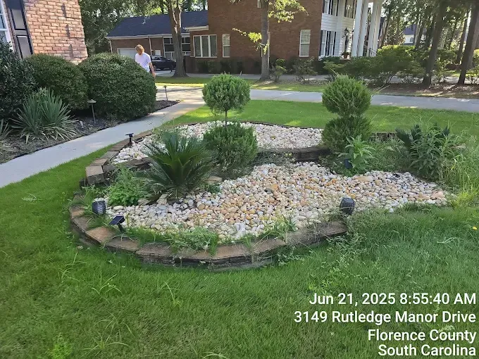 Landscaped garden bed with stone, greenery, and small topiary. Located in front of a house.