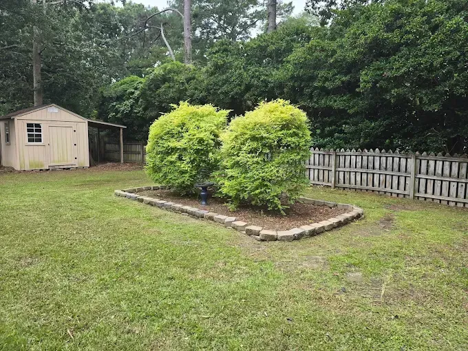 Backyard scene with a shed, a flowerbed with green shrubs, and a wooden fence.