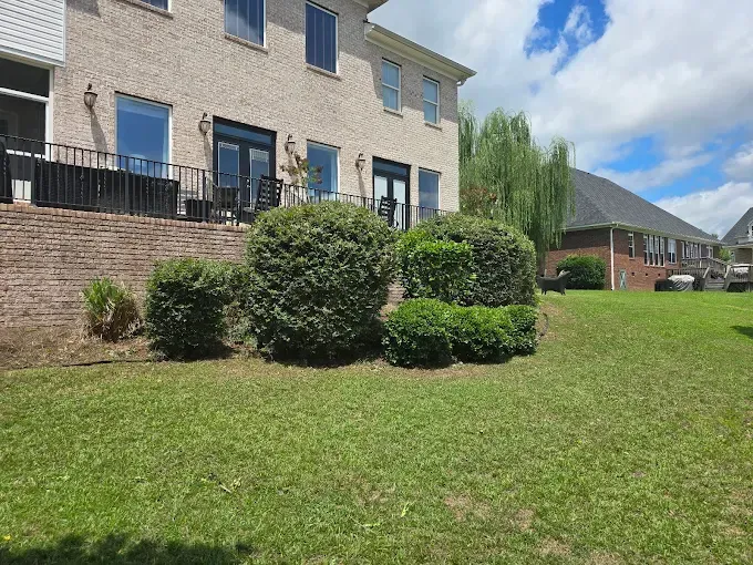 Backyard with bushes and a brick house under a partly cloudy sky. Green grass covers the ground.