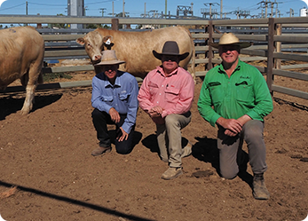 Man in cowboy hat with three beige-colored bulls inside a metal pen, outdoors.