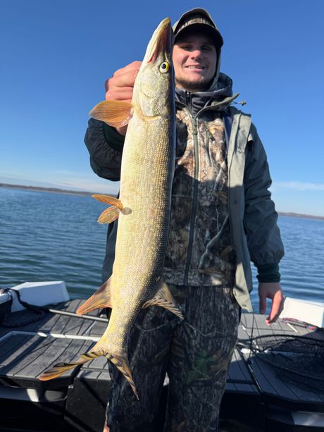 Northern Pike Fishing Guide Minnesota