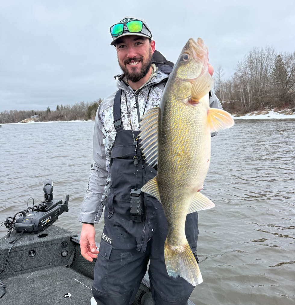 walleyes on Leech Lake