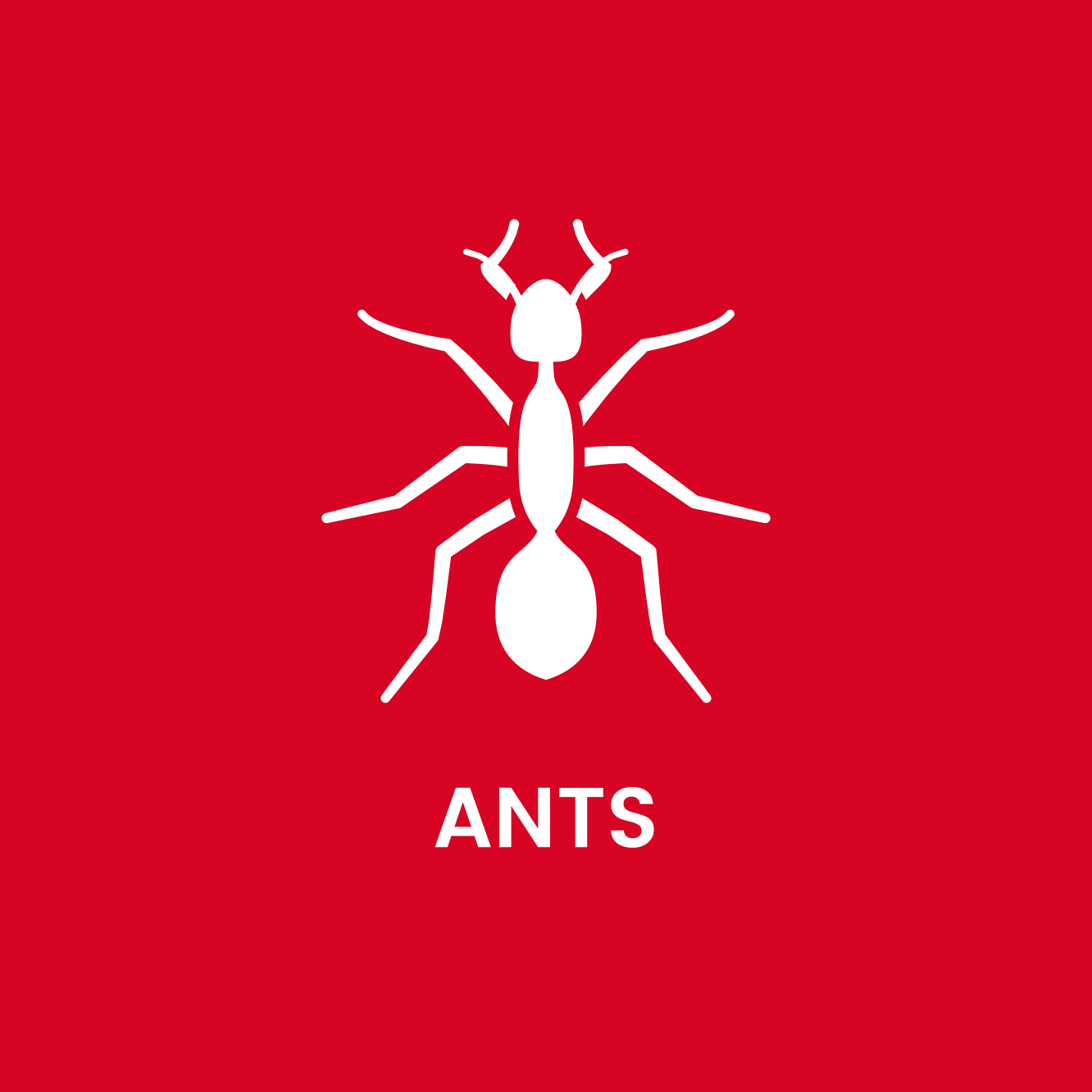 A white ant icon on a red background with the word ants below it.