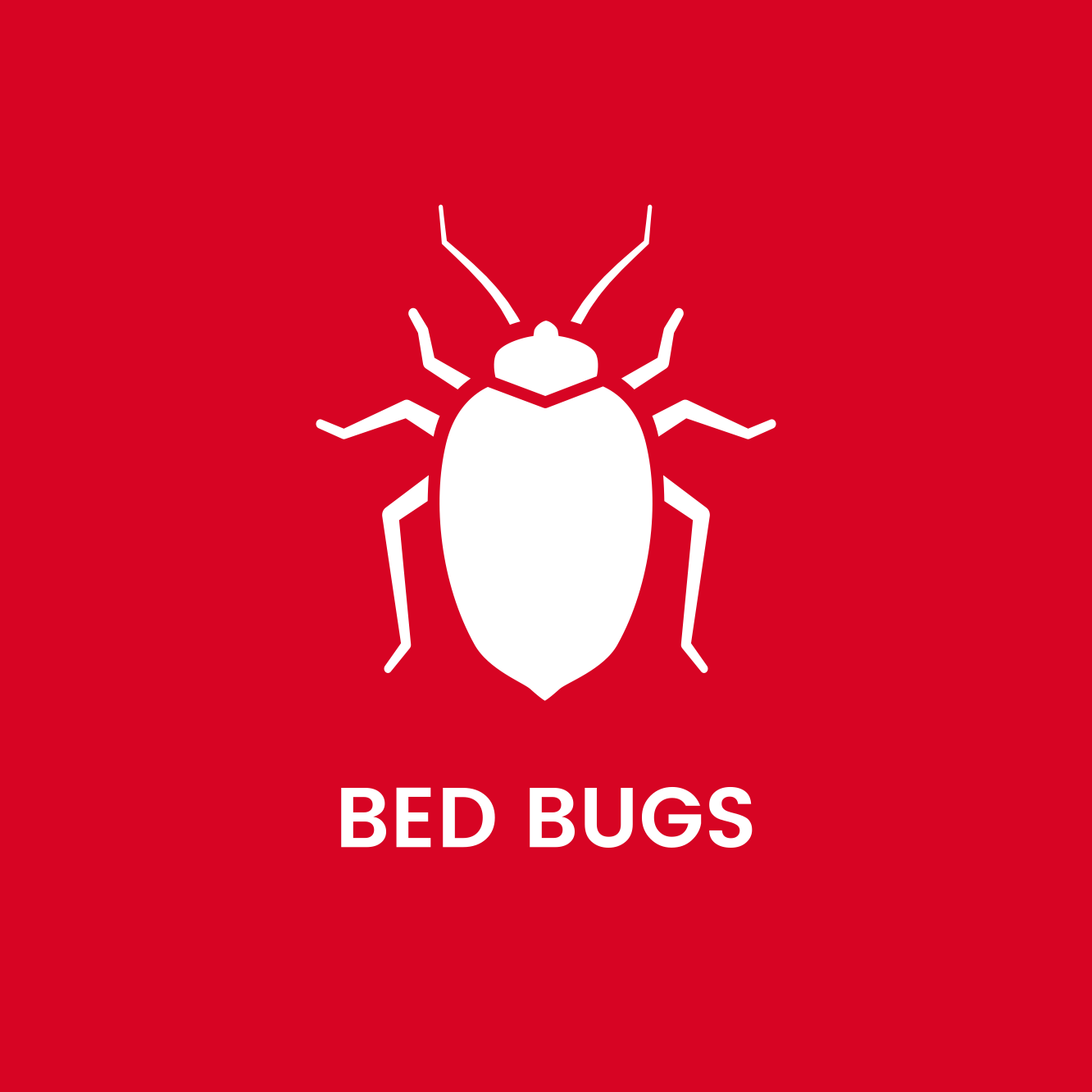 A bed bug icon on a red background with the words bed bugs below it.