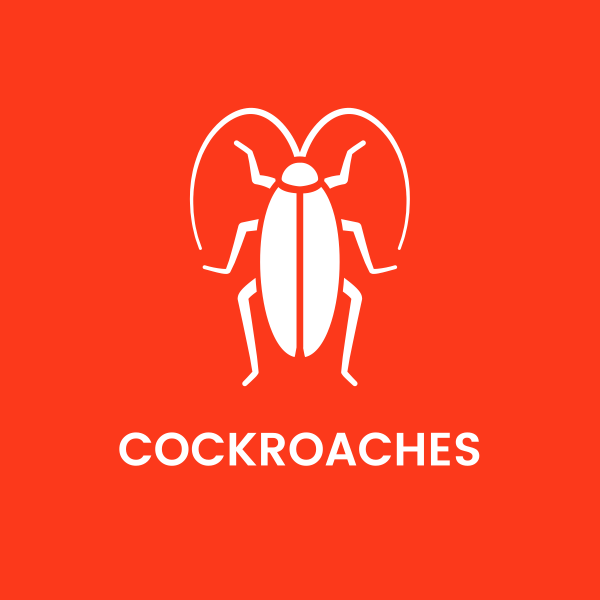 A cockroach icon on a red background with the words cockroaches below it.