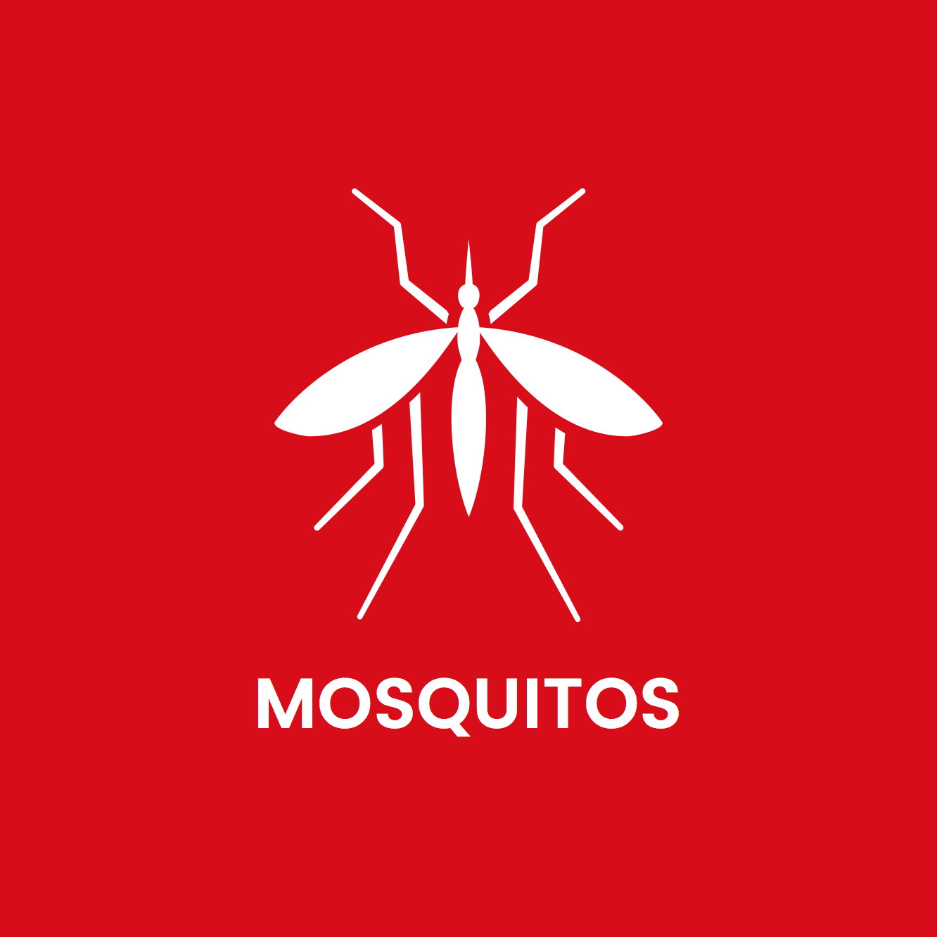 A white mosquito on a red background with the word mosquitos below it.