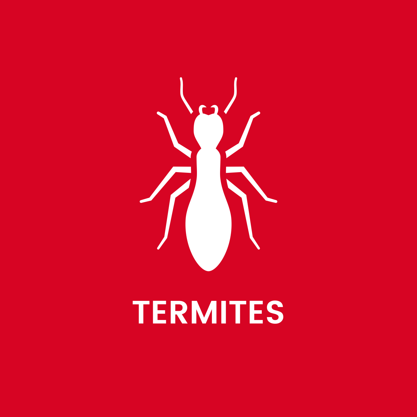 A white termite icon on a red background with the word termites below it.
