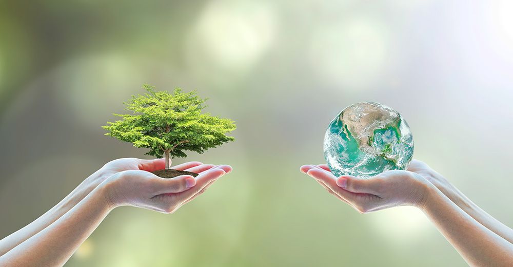 Environmental Awareness