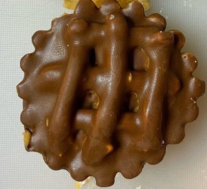 Chocolate-covered waffle cookie with a textured design, on a white surface.