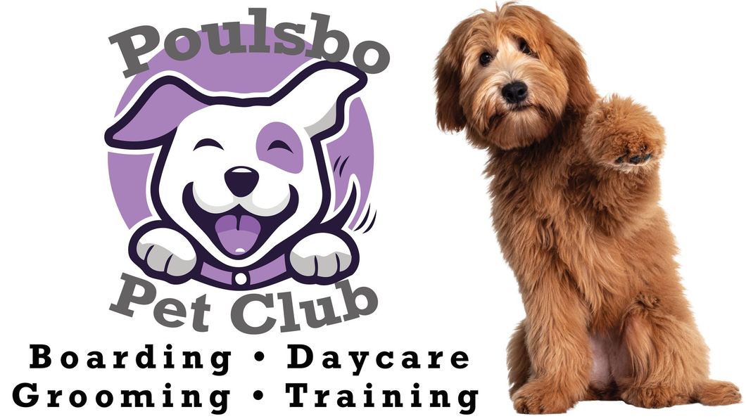 Poulsbo Pet Club | Boarding | Daycare | Grooming | Training